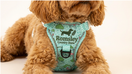 Romsley™ All-Rounder Dog Harness